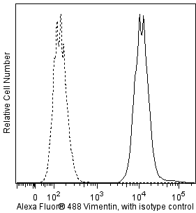 Vimentin_A488_TDS_MSCs_0-25.png